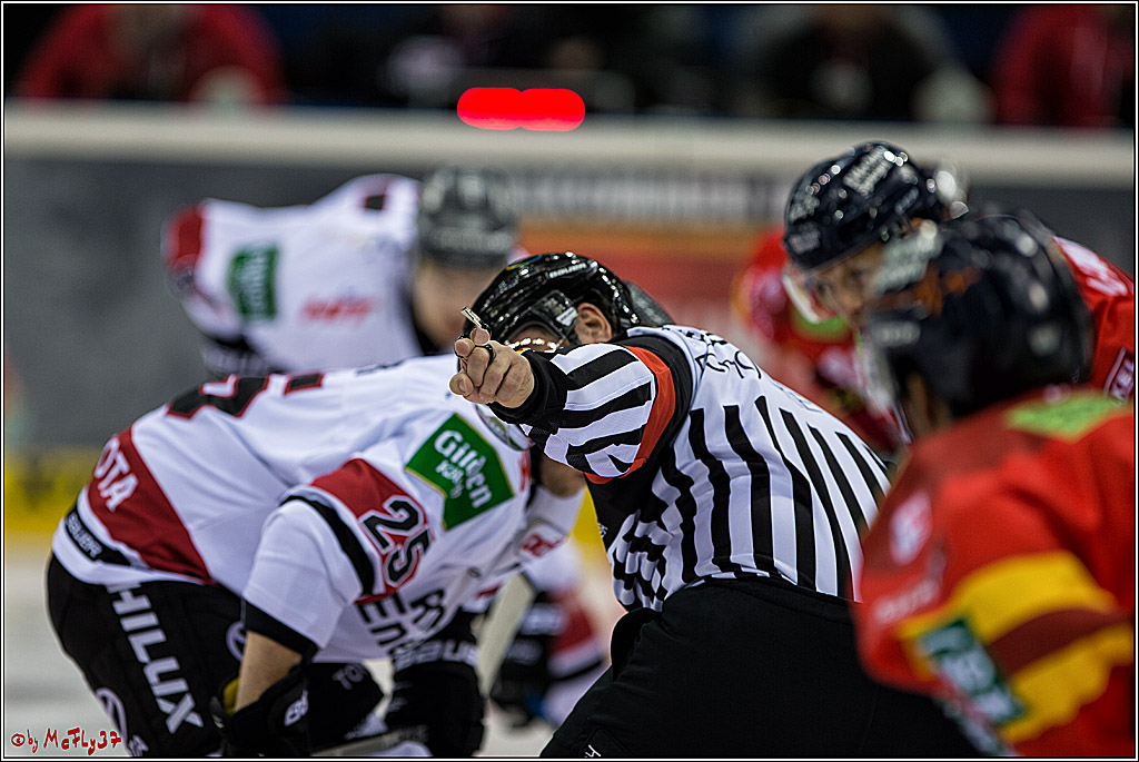 DEL, Koelner Haie - Duesseldorfer EGY, 22.01.2017